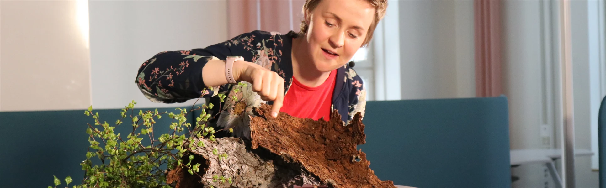 Forskaren Matilda pekar på en granbarkborre på et barkblad