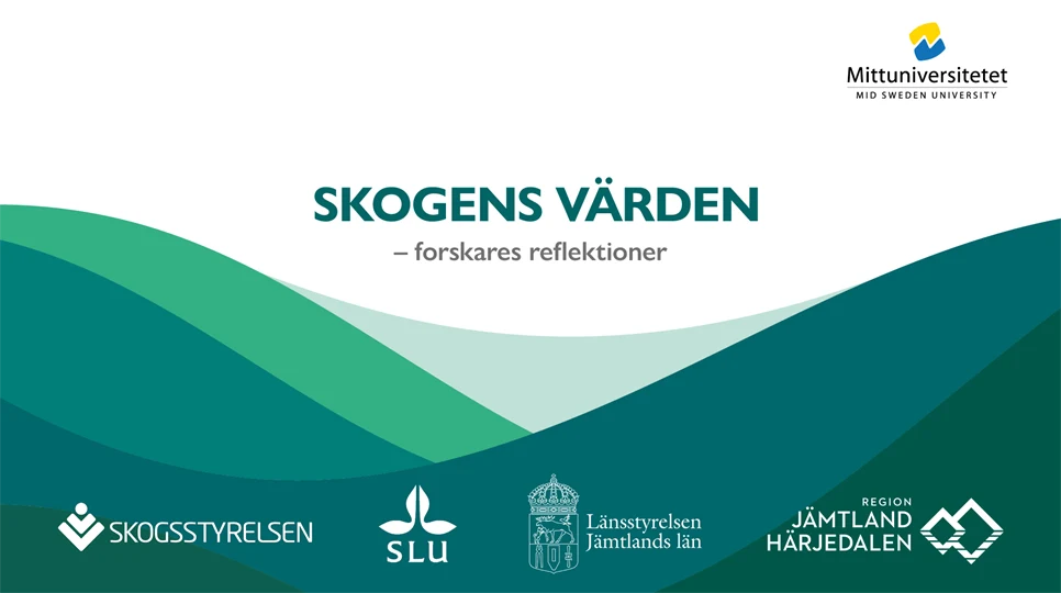 bild medfinansiärer