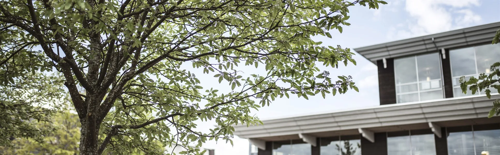 Campus Östersund fasad hus 