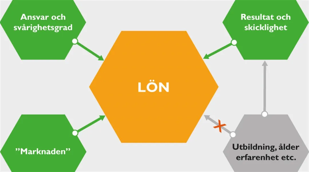 Lönekriterier_illustration som org-skiss