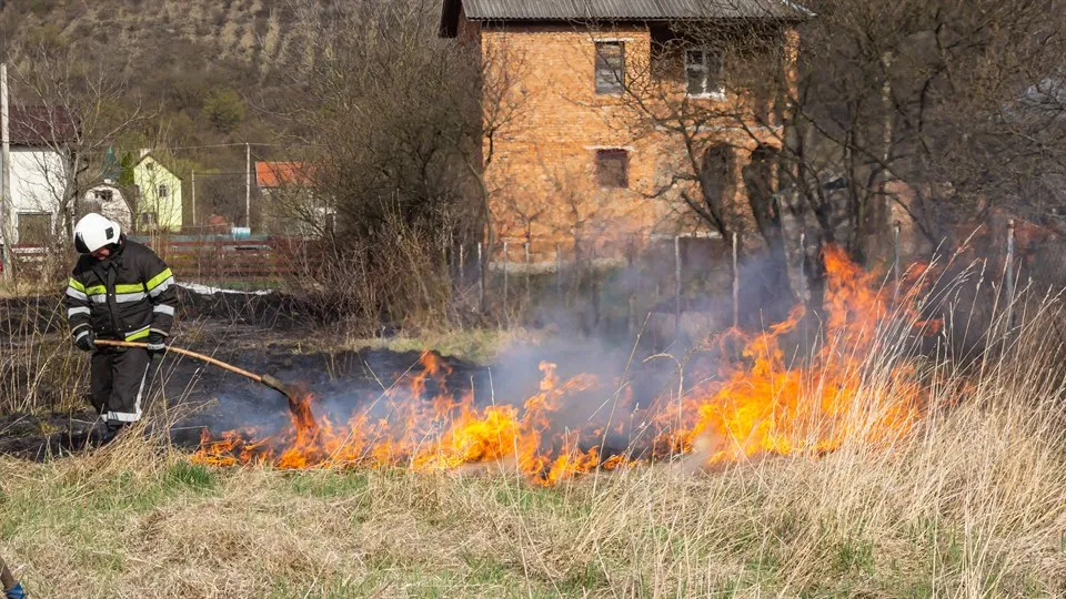 A firefighter standing in tall grass holding a large stick. The gras next to them is on fire. There are houses in the background.