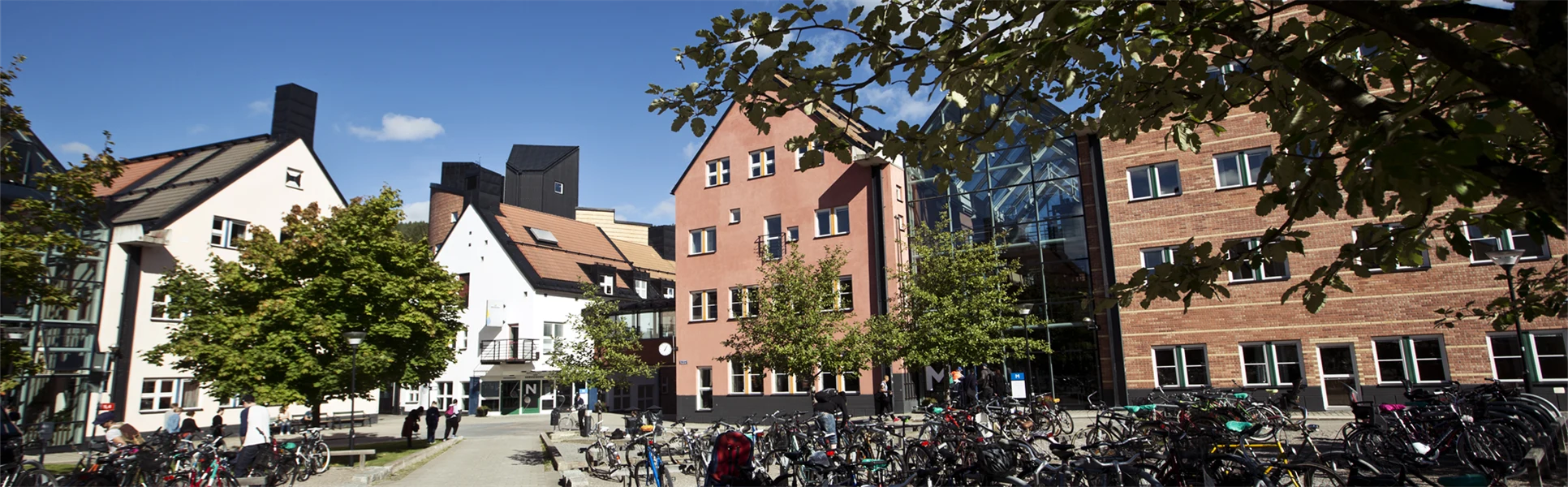Campus Sundsvall