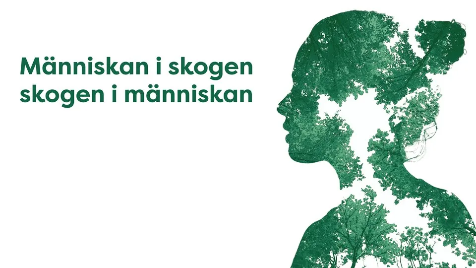 Silhouette of face in profile, filled with trees