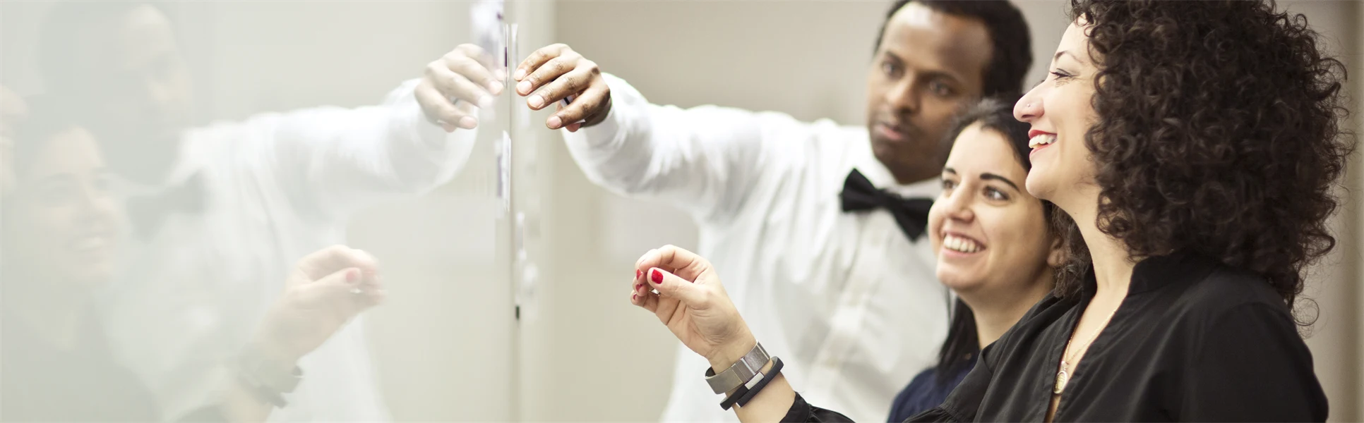 Risk- och krishanteringsprogrammet