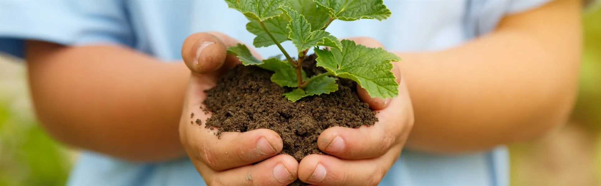 barn håller jordig planta i bägge händerna