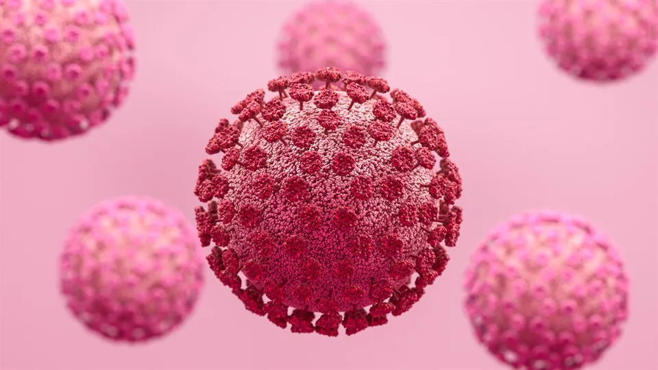 Coronavirus Covid-19