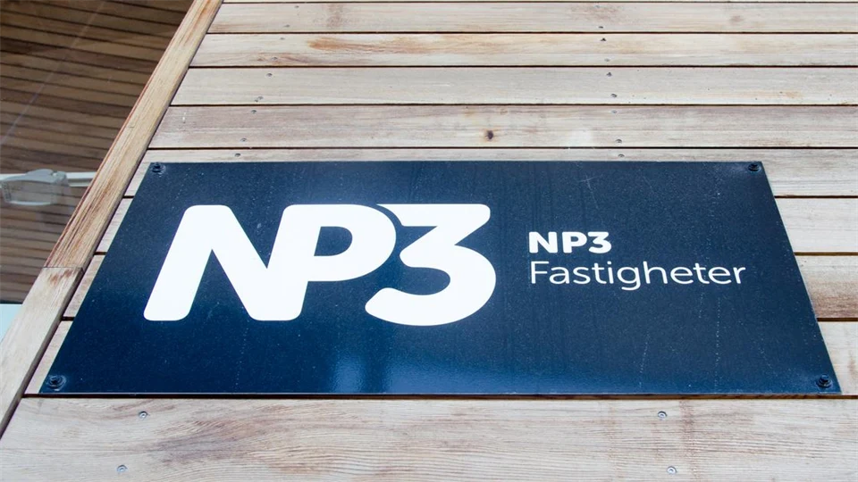 NP3