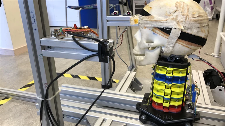 Realistic head and neck surrogate 