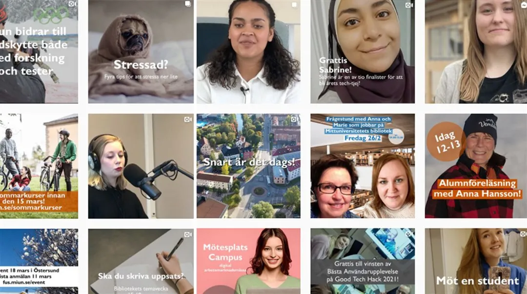 Bild på Instagram-flödet