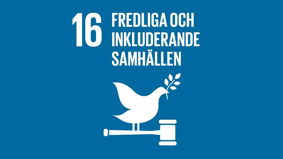Globala målen
